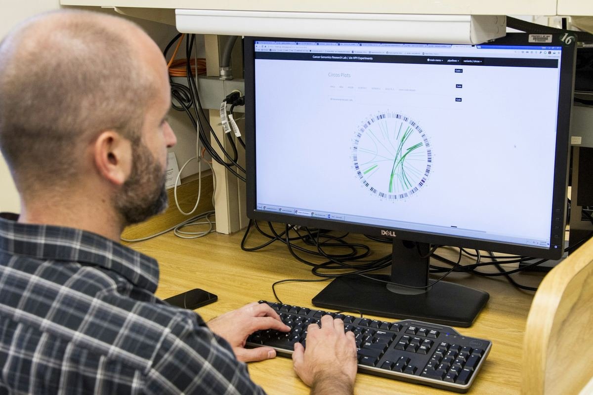 A researcher analysing a circular genome plot on a computer screen.