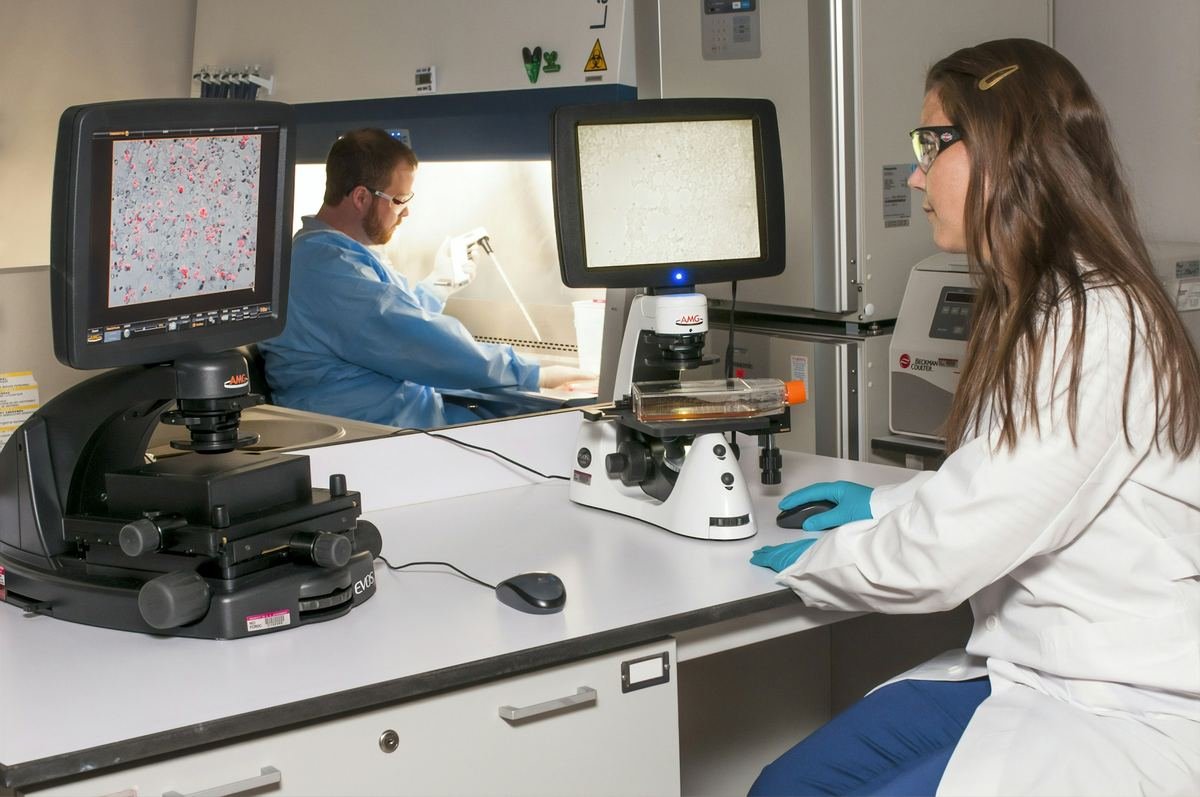 Two technicians working at a fluorescence microscope and pipette.