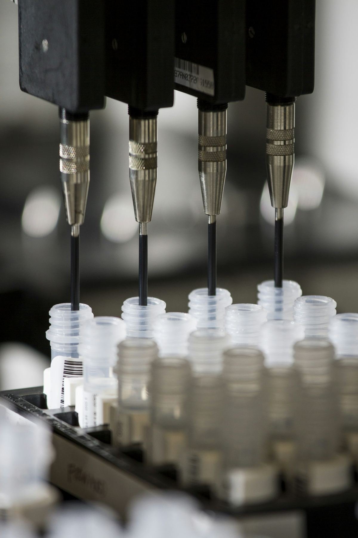 Automated pipettes dispensing liquid into sample vials.