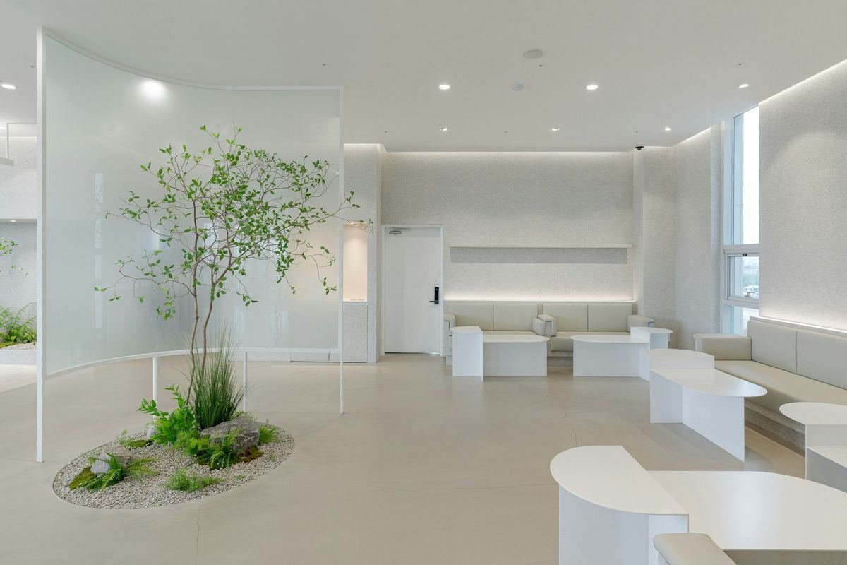 A calm, light-filled white lobby with a single tree and soft seating.