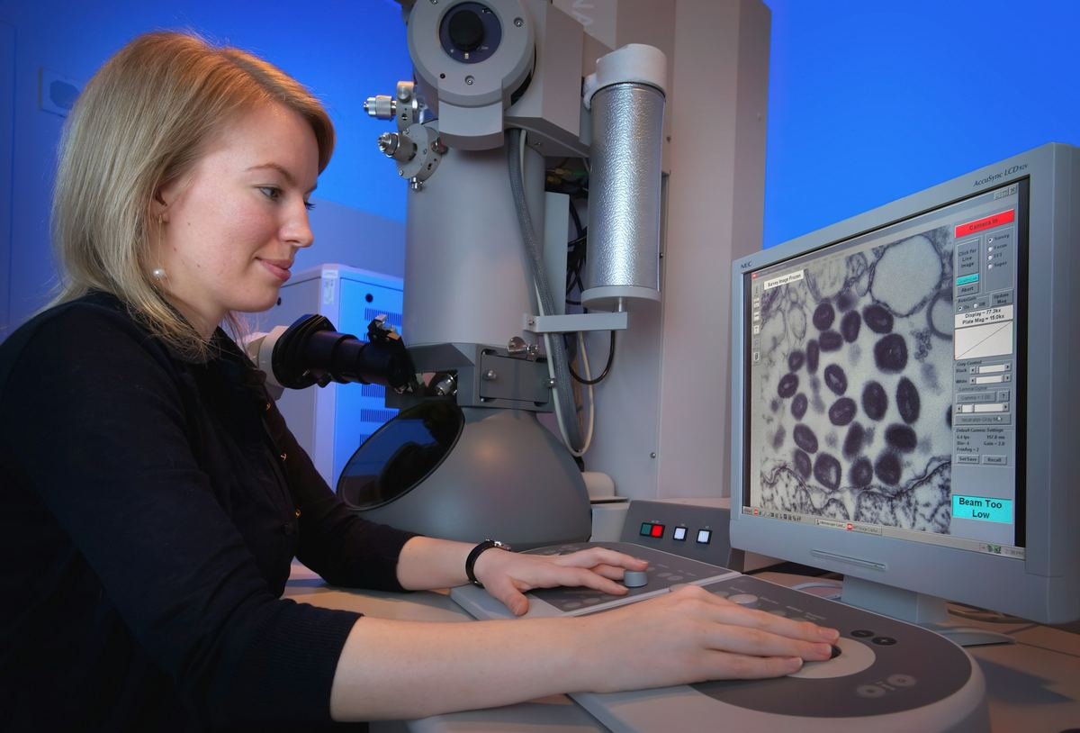 A scientist examining cells on an electron microscope display.